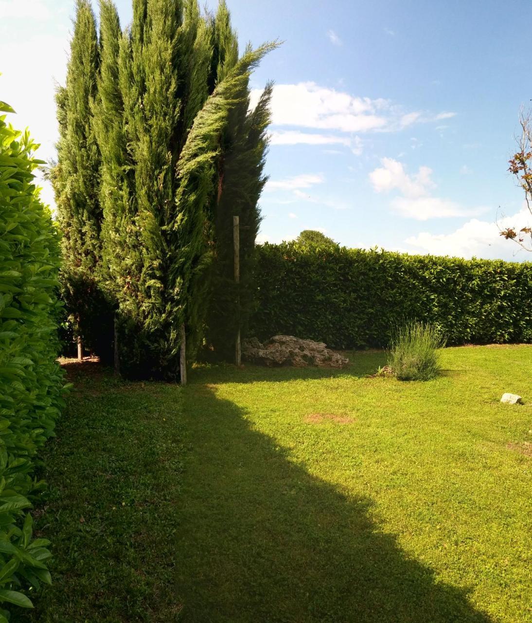 A Viterbo Terme "Casa Vacanze Al Melograno"アパートメント エクステリア 写真